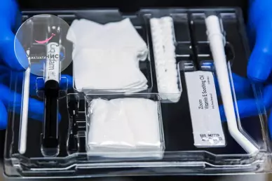 Профилактика зубов Профилактика зубов