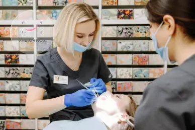 Ортодонтия Ортодонтия